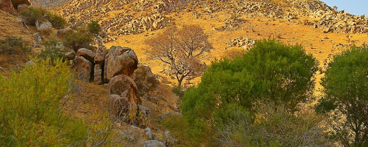 Реферат Осень В Узбекистане Реферат Осень В Узбекистане