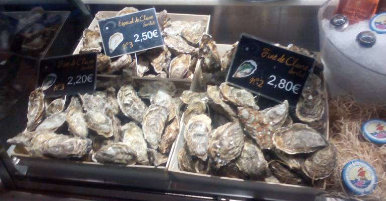 765-399_2tBB3h7sxNSMHlhCPLzMkhR4fDCqNUSL