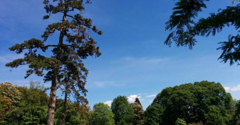 765-399_9tOeBE8L2lK5lQOqikiiDBiNqG7haRRz