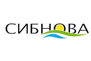 Праздник воздуха в Таиланде вместе с туристической компанией Сибнова Барнаул 