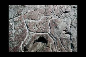 Россия: Петроглифы Канозера накроют стеклянным куполом