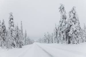 Чехию завалило снегом