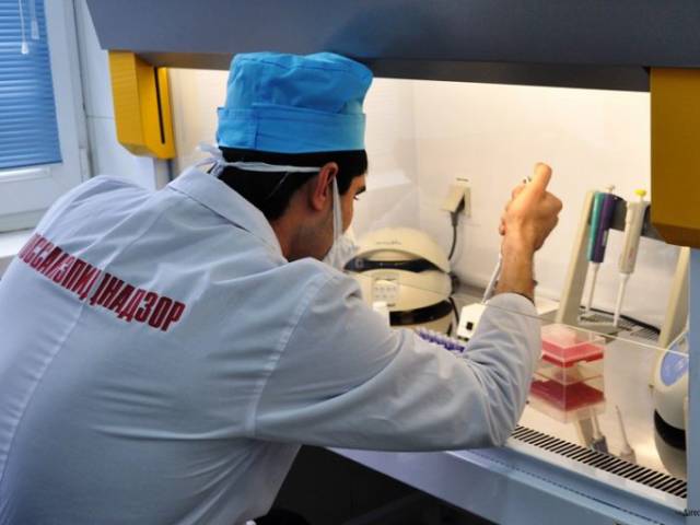 Отпуск, турагентство, Туристы смогут узнать об угрозах в зарубежных поездках по горячей линии, Коломна Туристы смогут узнать об угрозах в зарубежных поездках по горячей линии, Туристам Коломны, турфирмы США Россия Италия Греция Германия