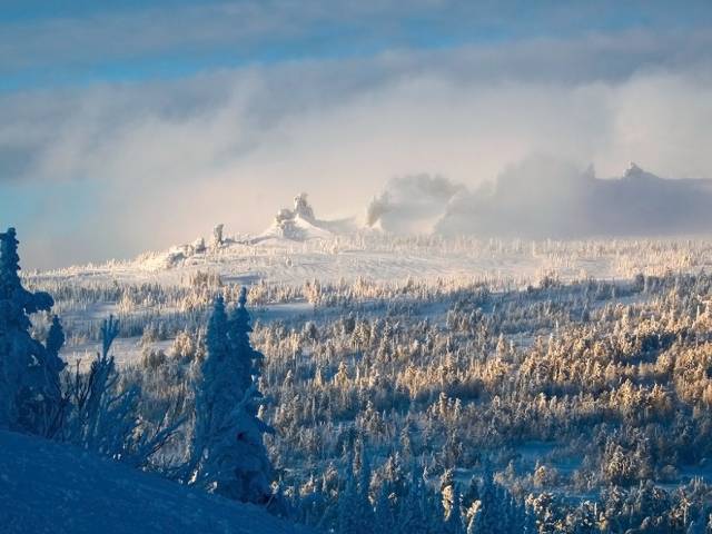 Отпуск, турагентство, Где в России лучшие экскурсии и самая потрясающая гастрономия, Коломна Где в России лучшие экскурсии и самая потрясающая гастрономия, Туристам Коломны, стоит ли ехать Россия гастрономический туризм Аэрофлот