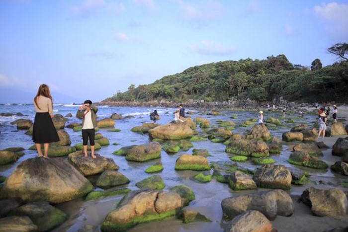 За что туристы полюбили пляж, покрытый мхом в Дананге 
