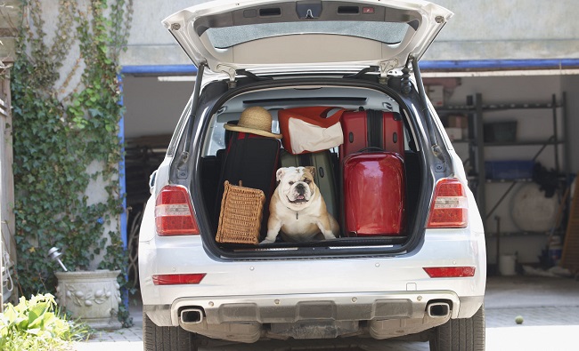 Как дешево поехать в Турцию?