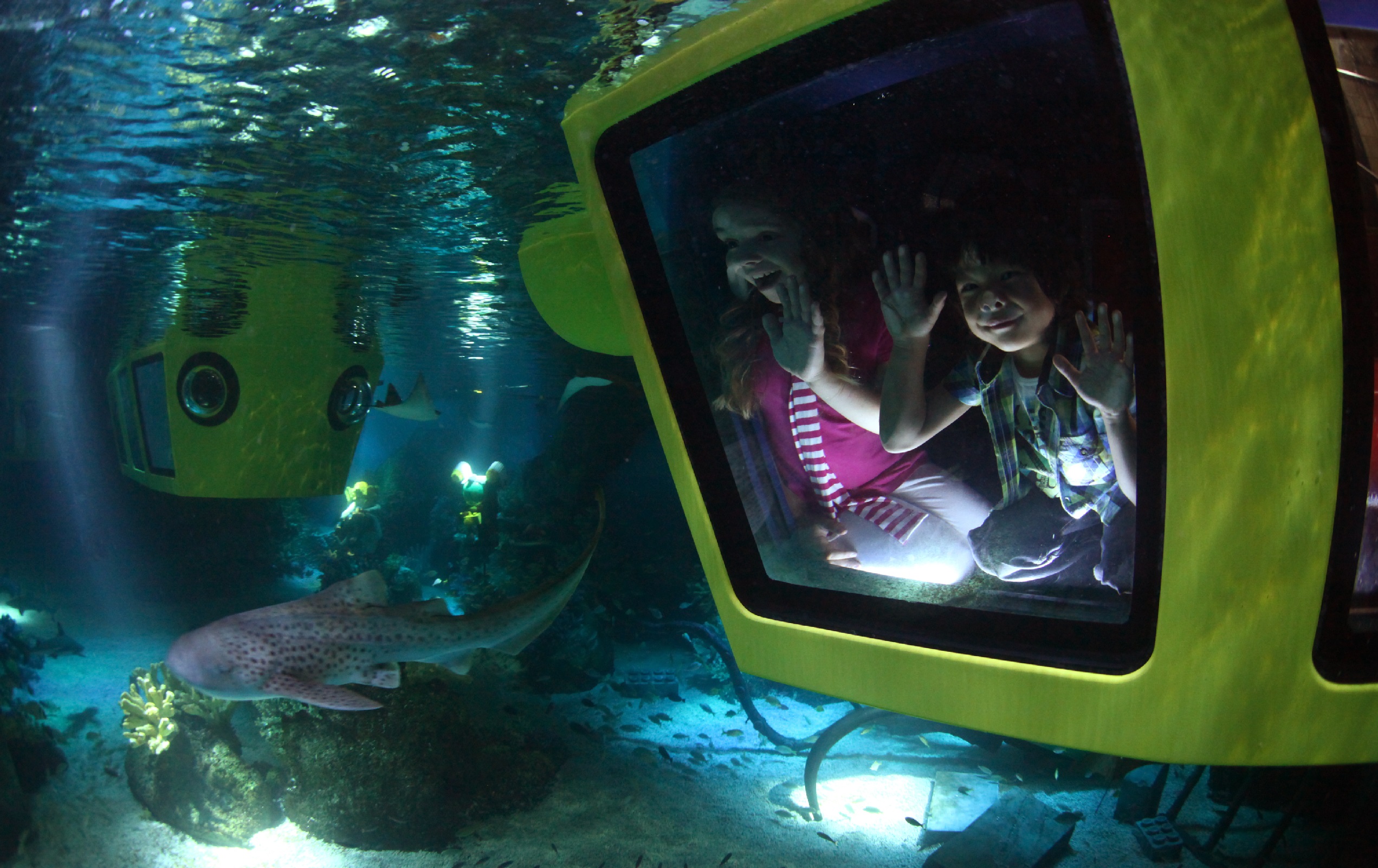 Dubai Parks and Resorts – ваше захватывающее приключение в Дубае!