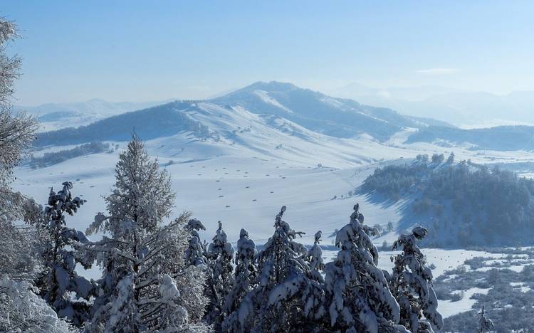 Зимой на Алтай: путешествие в снежную сказку