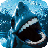 Аватар пользователя shark777