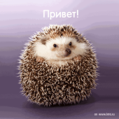 Аватар пользователя Мафка