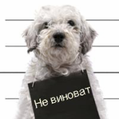 Аватар пользователя Эдуард Нерсесов