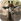 Alex118