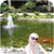 Tanysha2101