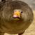 Goose Traveller