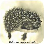 Аватар пользователя Travel