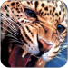Masya_111