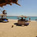 Tim_631971