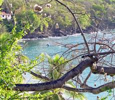 Martinique