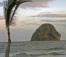 Martinique