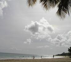 Martinique. Les Salines.