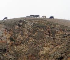 земля круглая