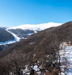 Цахкадзор