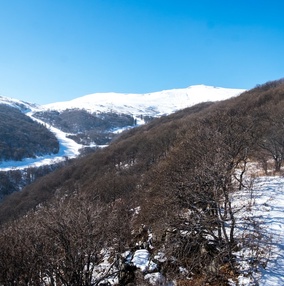 Армения
