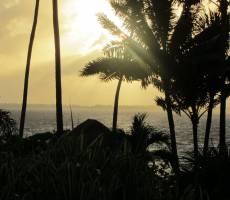 Вид через сад на океан, отель Le Maitai Bora Bora