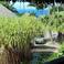 Вид на сад, отель Le Maitai Bora Bora