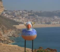 Nazare