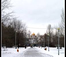 В парке
