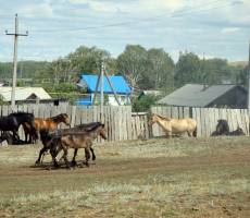 Башкирия
