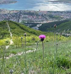 Популярные отели Геленджика