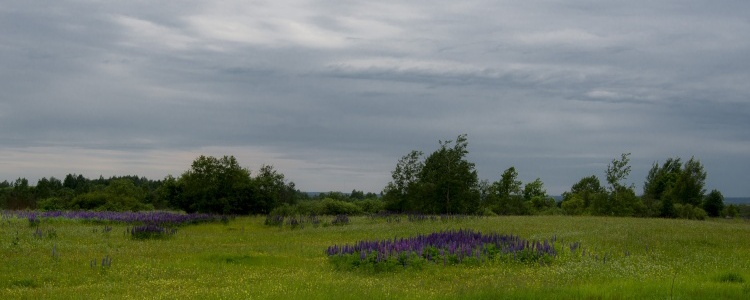 Великие Луки