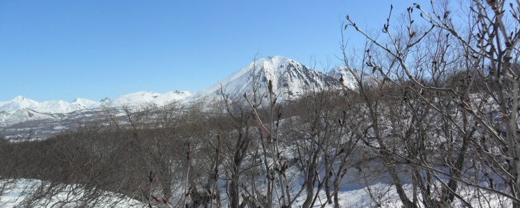 Петропавловск-Камчатский