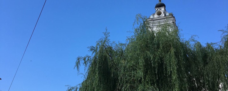 Таруса