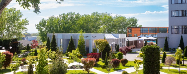 Территория