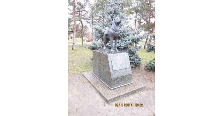  Волгоград