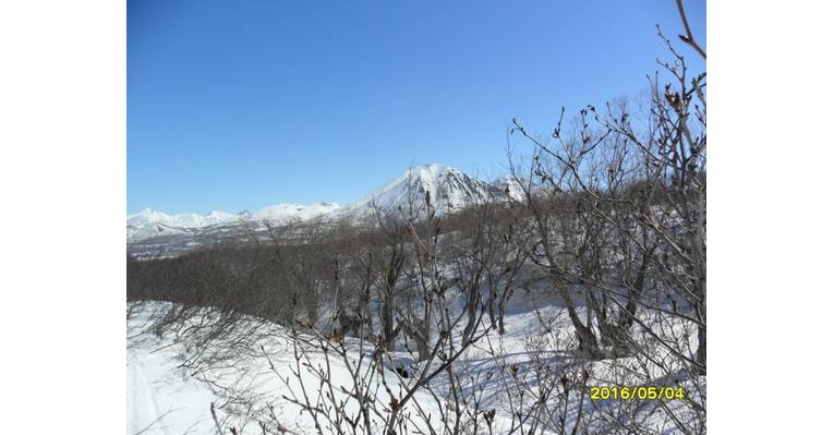  Петропавловск-Камчатский