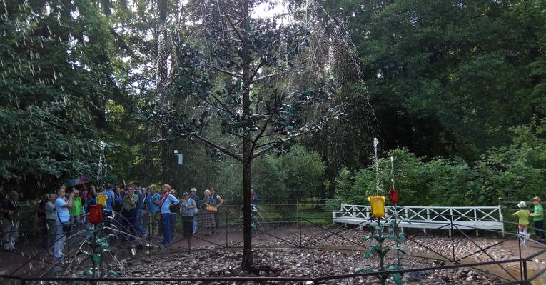  Петергоф