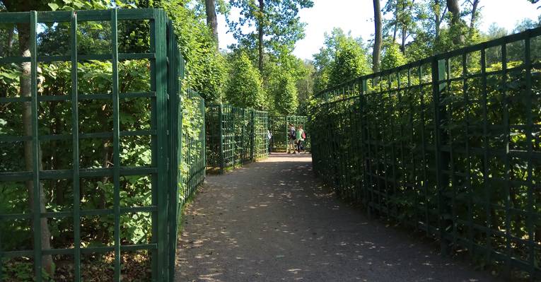  Петергоф