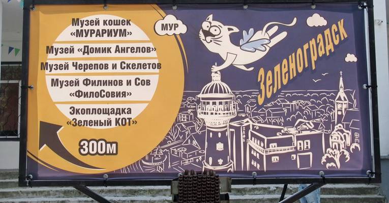  Зеленоградск 