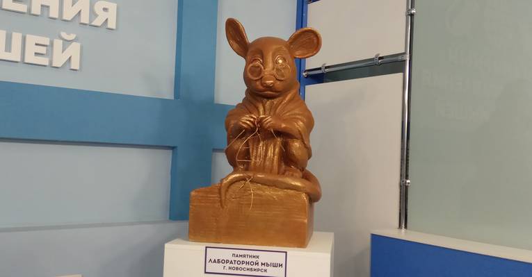  Мышкин