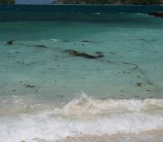 Вот такая вода