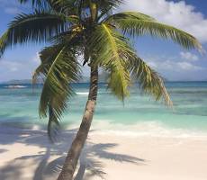 Anse Severe (ЛаДиг)