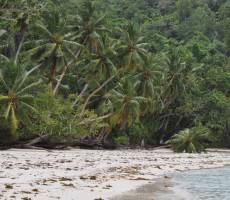 Seychelles. Mahe. Anse Gaulettes