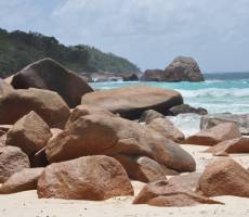 Seychelles. Praslin. Anse Lazio
