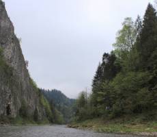 Сплав по Дунайцу