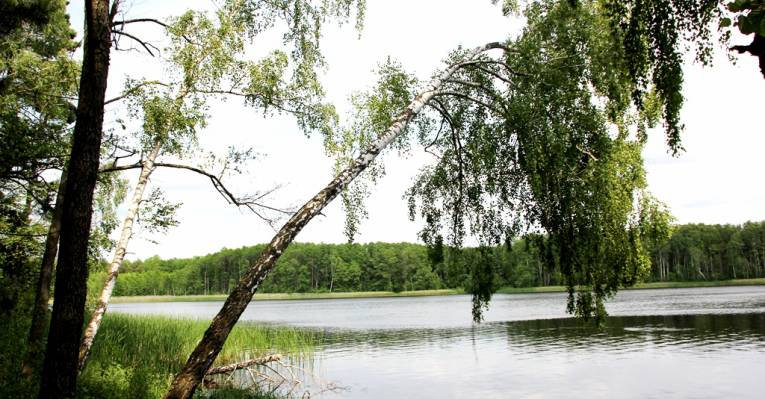  Брест