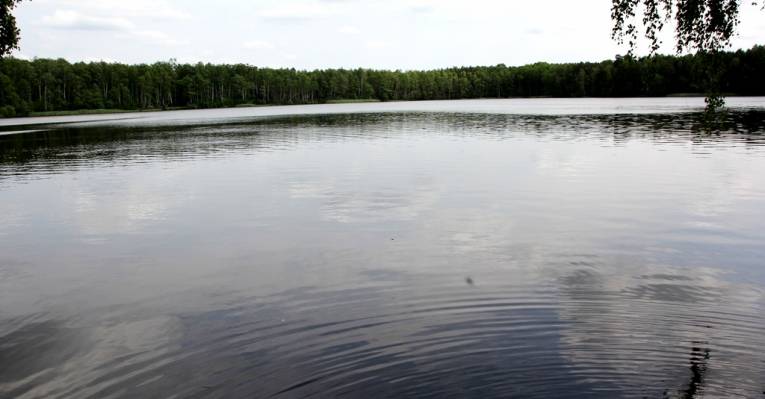  Брест